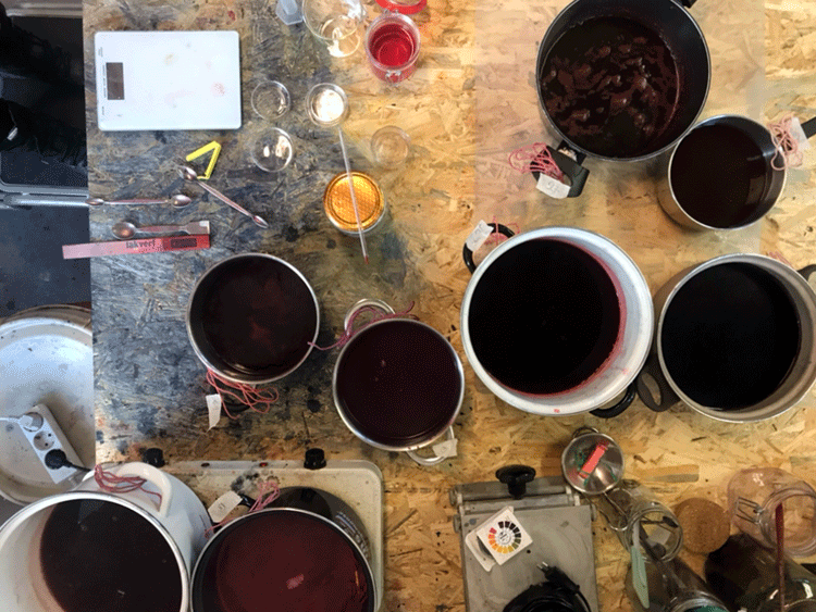 Dyeing with natural pigments