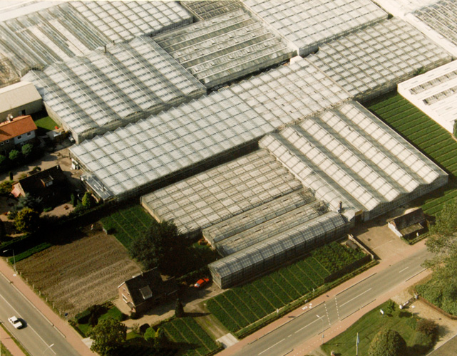 Aerial View of Lent in 1982 with the old 'Genista' nursery